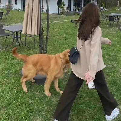 老九门番外之恒河杀树